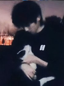 不凋零的玫瑰