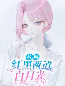 名柯：红黑两道白月光