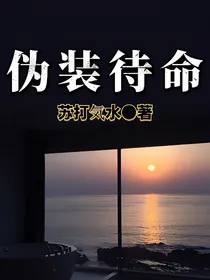 伪装待命