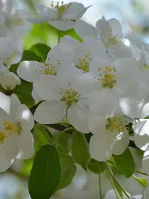 综影视：花市女主下岗再就业