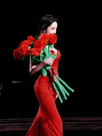 杨幂—追星女孩