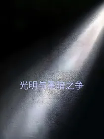 光与暗之争