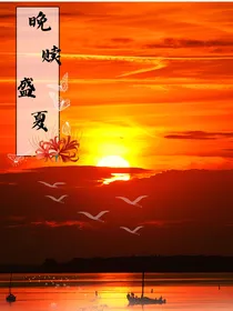 晚赎盛夏