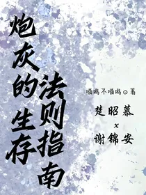 炮灰的生存法则指南