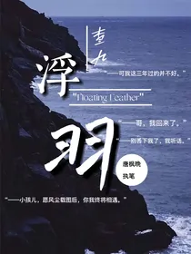 查理九世之浮羽