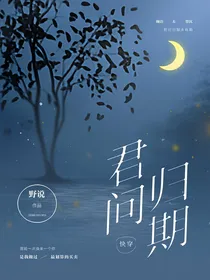 君问归期（快穿）