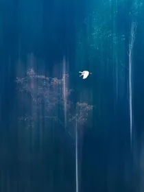 遗憾落幕曲