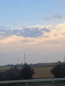 嘎蛋王国