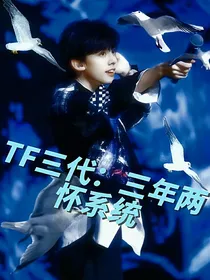 TF三代：三年两怀系统