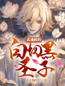 武魂殿的白切黑圣子