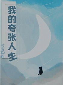 我的夸张人生