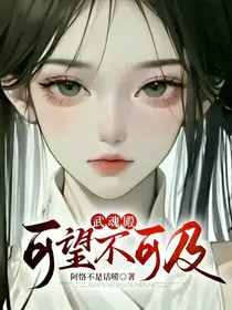 武魂殿：可望不可及