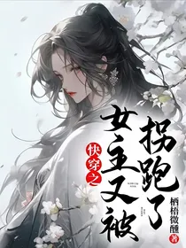 快穿之女主又被拐跑了