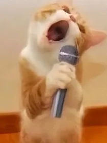 东来西往
