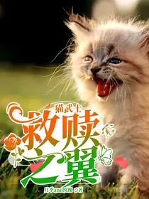 猫武士：救赎之翼-d613