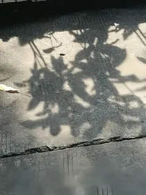 青春正逢时