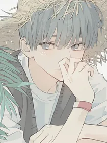 赠予矢车菊