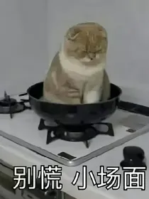 原神：吾乃姻神大人