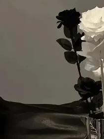 TF：她是我的白月光