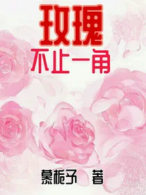玫瑰不止一角