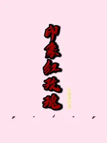 印象红玫瑰