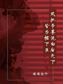 风批帝尊洗白后天下皆为裙下臣