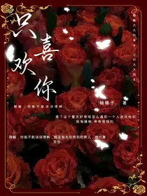 只喜欢你……衍毅