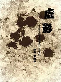 虚影极禹