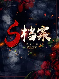 SS档案