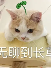 穿成镜像DJ波（虚拟）