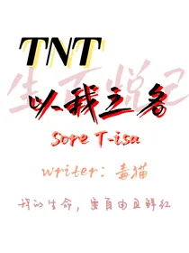 TNT：以我之名