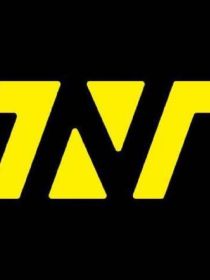 TNT：争宠日常