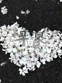 寻泉