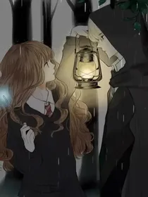 HP：大战过后（德赫）