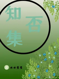 知否集