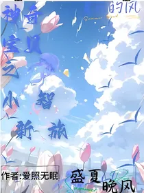 神奇宝贝之小智新旅