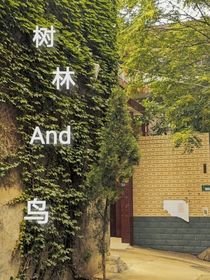 树林与鸟