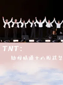 TNT：助理精通十八般武艺