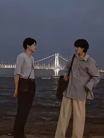 BTS：正泰——花样年华