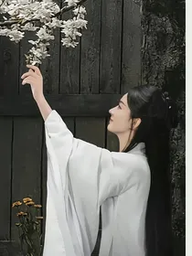 雪鹰领主之朱雀降临
