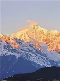 你动过情吗
