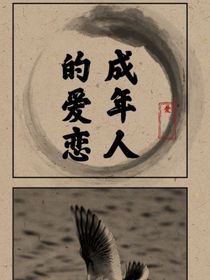 成年人的爱恋