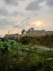 属于他们