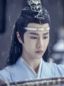 陈情令：蓝湛，忘了我吧