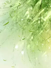 京剧猫之世间的感情