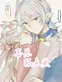 喜美：—喜总轻点爱—