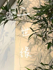 二世缘之再续前缘