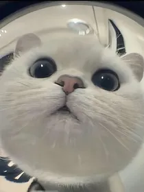 热血竞技