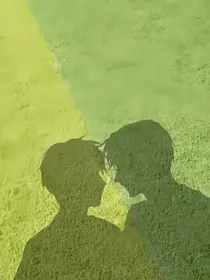 在槐树下的阁楼里
