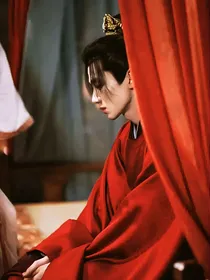 综影视：其实我想当女主